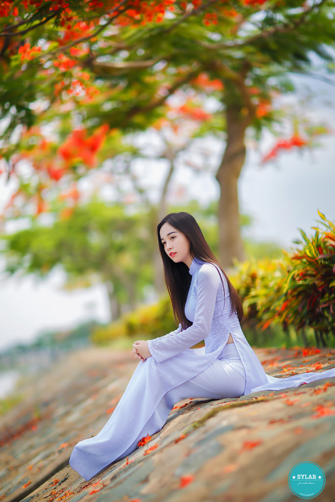 家教高级